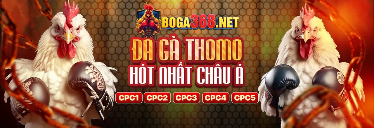 Sân đấu đá gà trực tuyến Bet 69